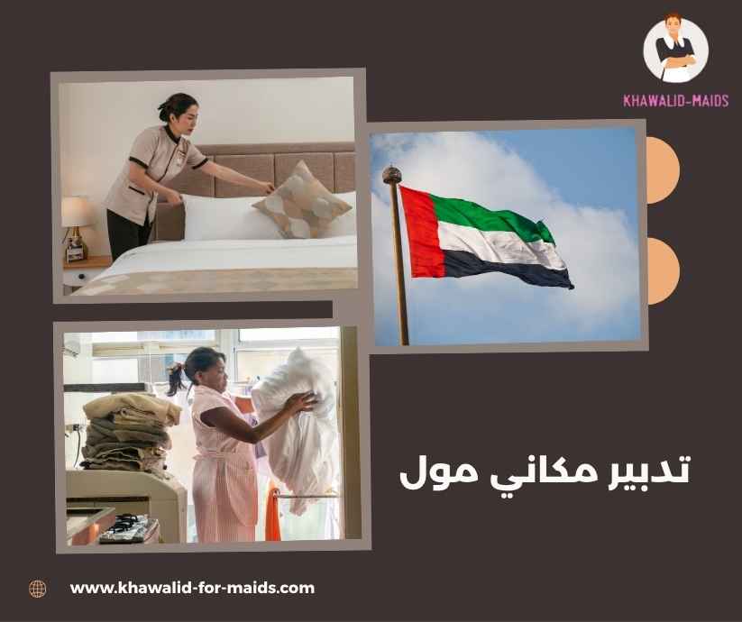 تدبير مكاني مول