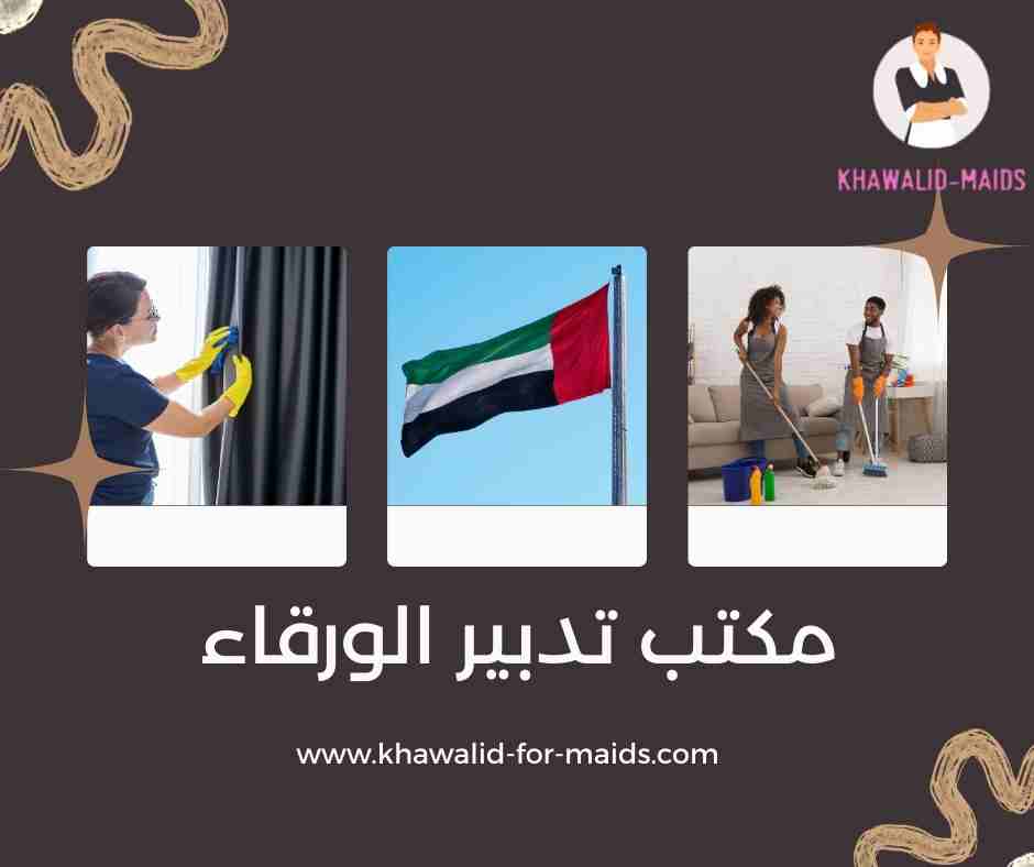 مكتب تدبير الورقاء