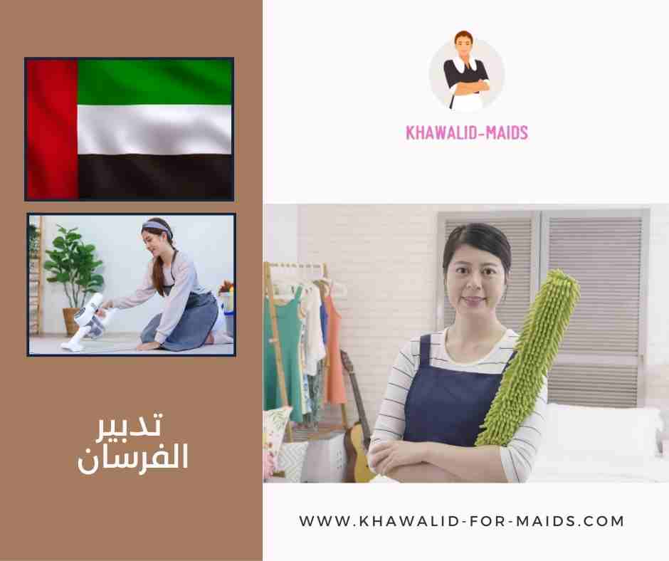 تدبير الفرسان